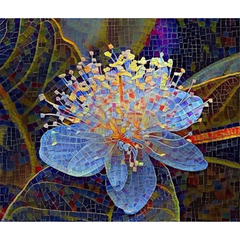 Gạch Tranh Mosaic - GTM01